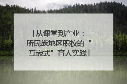 从课堂到产业：一所民族地区职校的“互嵌式”育人实践