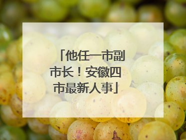 他任一市副市长！安徽四市最新人事