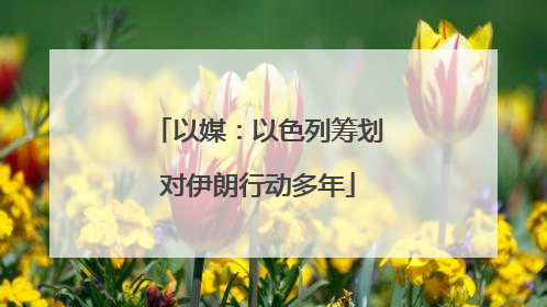 以媒：以色列筹划对伊朗行动多年
