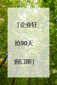 企业狂抢90天窗口期
