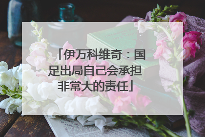 伊万科维奇：国足出局自己会承担非常大的责任