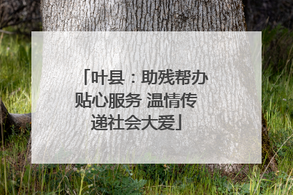 叶县：助残帮办贴心服务 温情传递社会大爱
