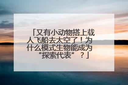 又有小动物搭上载人飞船去太空了！为什么模式生物能成为“探索代表”？
