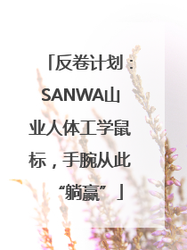 反卷计划：SANWA山业人体工学鼠标，手腕从此“躺赢”