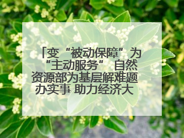变“被动保障”为“主动服务” 自然资源部为基层解难题办实事 助力经济大省挑大梁