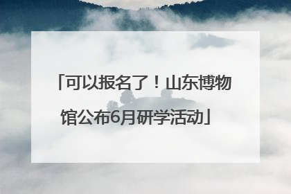 可以报名了！山东博物馆公布6月研学活动