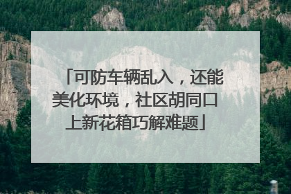 可防车辆乱入，还能美化环境，社区胡同口上新花箱巧解难题