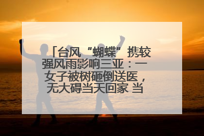 台风“蝴蝶”携较强风雨影响三亚：一女子被树砸倒送医，无大碍当天回家 当地已紧急清障