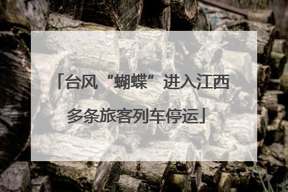 台风“蝴蝶”进入江西 多条旅客列车停运