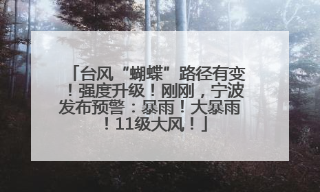 台风“蝴蝶”路径有变！强度升级！刚刚，宁波发布预警：暴雨！大暴雨！11级大风！
