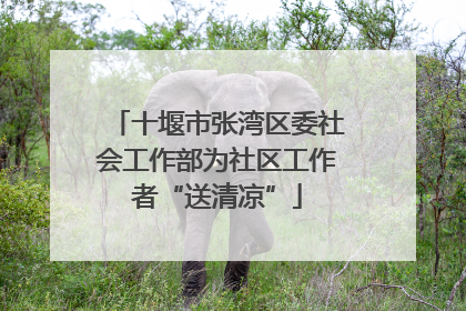 十堰市张湾区委社会工作部为社区工作者“送清凉”