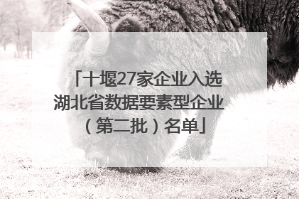 十堰27家企业入选湖北省数据要素型企业（第二批）名单