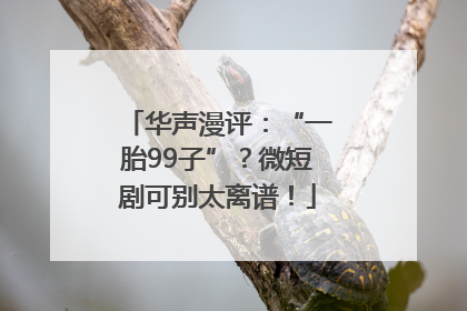 华声漫评：“一胎99子”？微短剧可别太离谱！