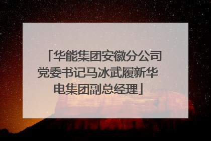 华能集团安徽分公司党委书记马冰武履新华电集团副总经理