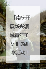 南宁开展新兴领域青年子女非遗研学活动
