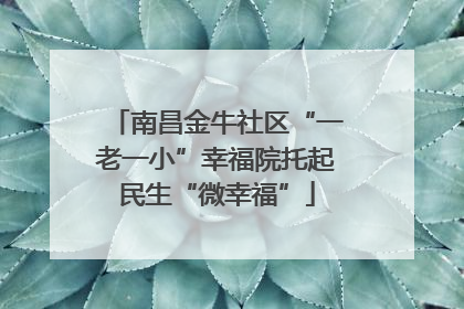 南昌金牛社区“一老一小”幸福院托起民生“微幸福”