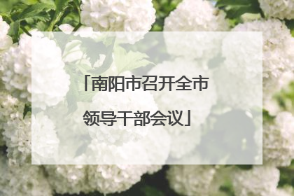 南阳市召开全市领导干部会议