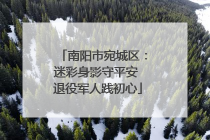 南阳市宛城区：迷彩身影守平安 退役军人践初心