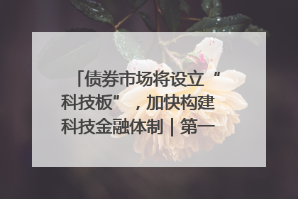 债券市场将设立“科技板”，加快构建科技金融体制｜第一财经研究院中国金融条件指数周报