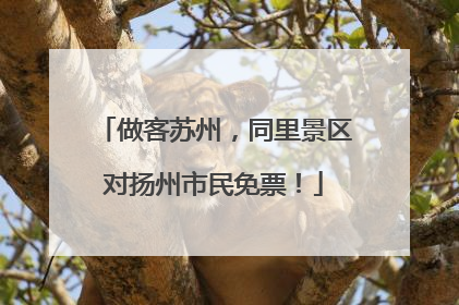 做客苏州，同里景区对扬州市民免票！