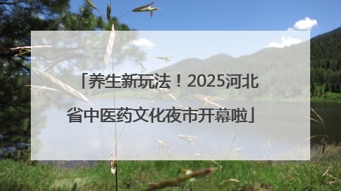 养生新玩法！2025河北省中医药文化夜市开幕啦