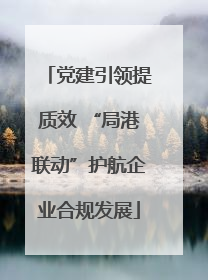 党建引领提质效 “局港联动”护航企业合规发展