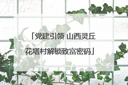 党建引领 山西灵丘花塔村解锁致富密码