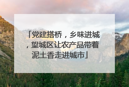 党建搭桥，乡味进城，望城区让农产品带着泥土香走进城市