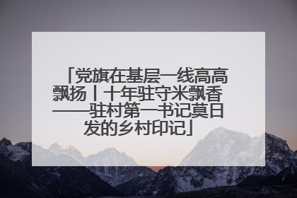 党旗在基层一线高高飘扬丨十年驻守米飘香——驻村第一书记莫日发的乡村印记