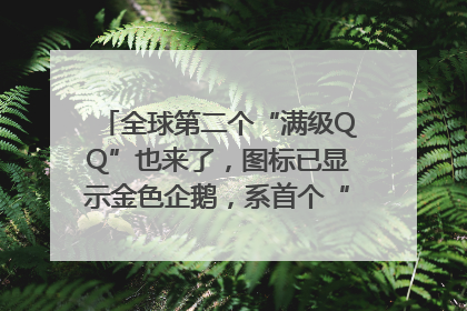 全球第二个“满级QQ”也来了，图标已显示金色企鹅，系首个“满级QQ”的小号
