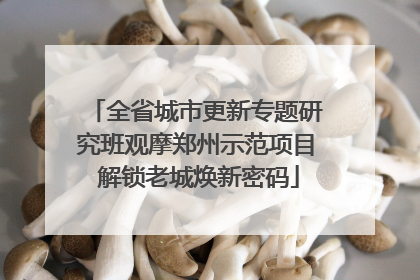 全省城市更新专题研究班观摩郑州示范项目 解锁老城焕新密码