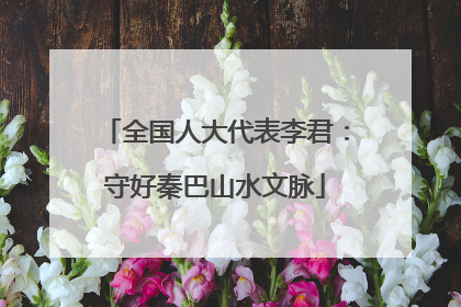全国人大代表李君：守好秦巴山水文脉