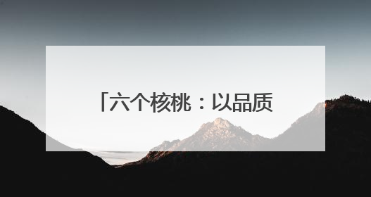 六个核桃：以品质筑基、创新领航的植物蛋白饮品标杆