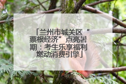 兰州市城关区“票根经济”点亮暑期：考生乐享福利 燃动消费引擎