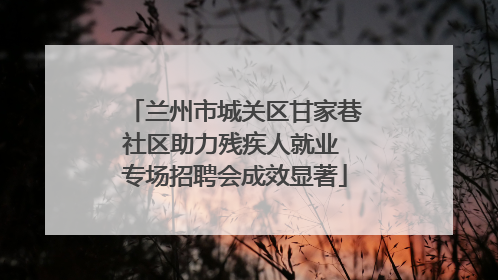 兰州市城关区甘家巷社区助力残疾人就业 专场招聘会成效显著