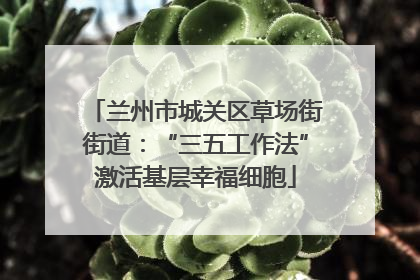 兰州市城关区草场街街道：“三五工作法”激活基层幸福细胞