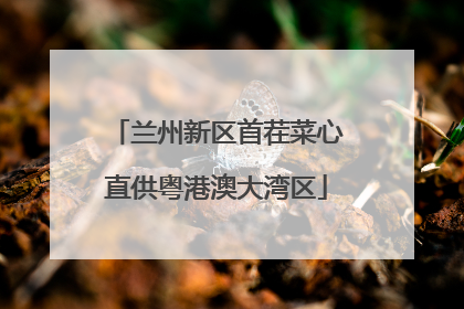 兰州新区首茬菜心直供粤港澳大湾区