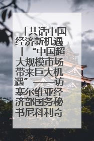 共话中国经济新机遇丨“中国超大规模市场带来巨大机遇”——访塞尔维亚经济部国务秘书尼科利奇