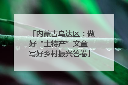 内蒙古乌达区：做好“土特产”文章 写好乡村振兴答卷