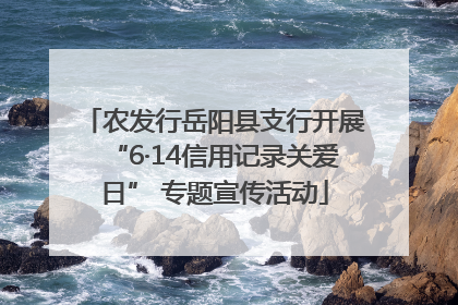 农发行岳阳县支行开展“6·14信用记录关爱日” 专题宣传活动