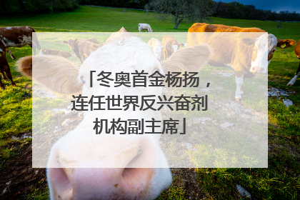 冬奥首金杨扬，连任世界反兴奋剂机构副主席