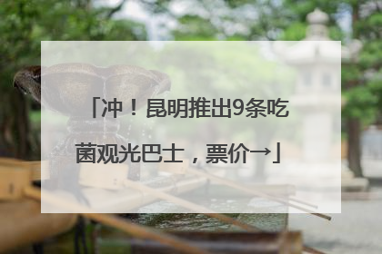 冲！昆明推出9条吃菌观光巴士，票价→