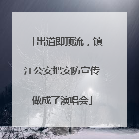 出道即顶流，镇江公安把安防宣传做成了演唱会