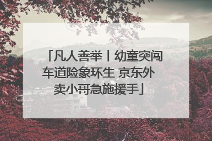 凡人善举丨幼童突闯车道险象环生 京东外卖小哥急施援手