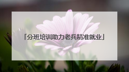 分班培训助力老兵精准就业