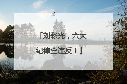 刘彩光，六大纪律全违反！