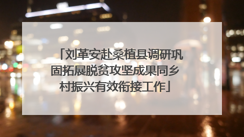 刘革安赴桑植县调研巩固拓展脱贫攻坚成果同乡村振兴有效衔接工作