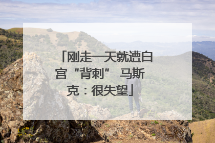刚走一天就遭白宫“背刺” 马斯克：很失望