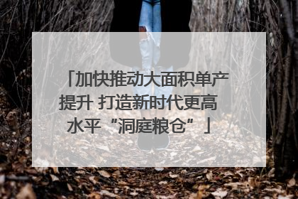 加快推动大面积单产提升 打造新时代更高水平“洞庭粮仓”