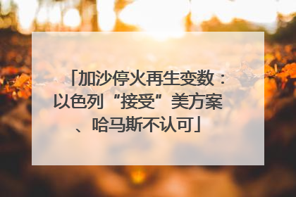 加沙停火再生变数：以色列“接受”美方案、哈马斯不认可